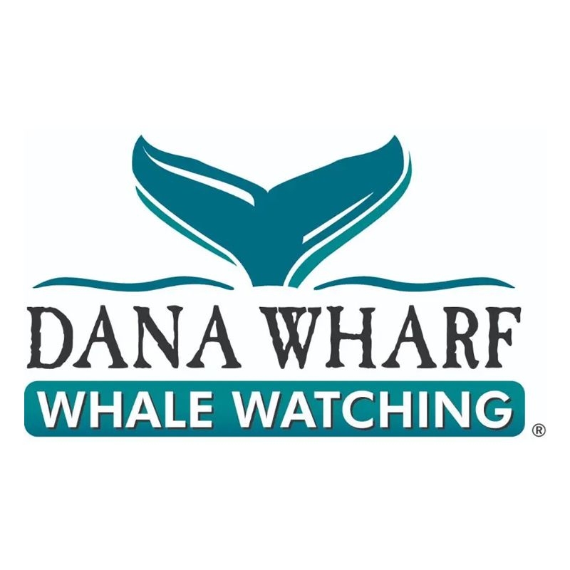 Dana Wharf Sportfishing, Whale Watching & Wine Cruises