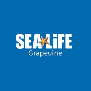 Sea Life Aquarium, Dallas, TX