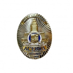 ACEBSA LAPEL PINS