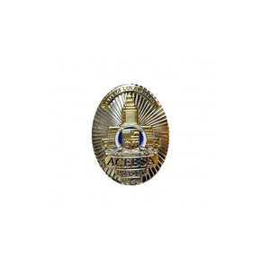 ACEBSA Lapel Pin